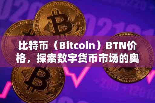 比特币（Bitcoin）BTN价格，探索数字货币市场的奥秘
