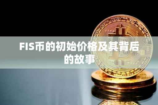 FIS币的初始价格及其背后的故事