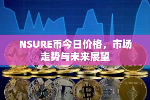 NSURE币今日价格，市场走势与未来展望