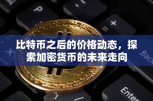 比特币之后的价格动态，探索加密货币的未来走向