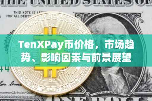 TenXPay币价格，市场趋势、影响因素与前景展望