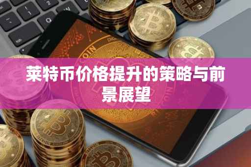 莱特币价格提升的策略与前景展望