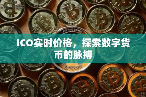 ICO实时价格，探索数字货币的脉搏