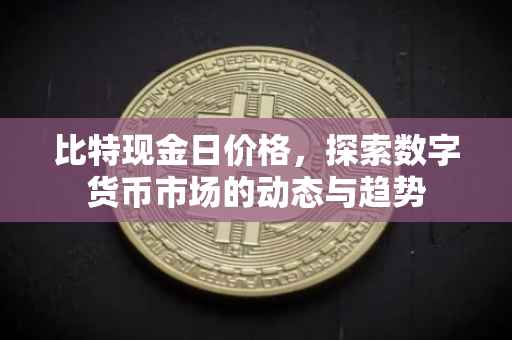 比特现金日价格，探索数字货币市场的动态与趋势
