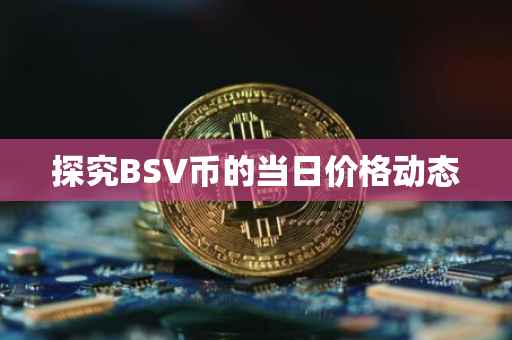 探究BSV币的当日价格动态