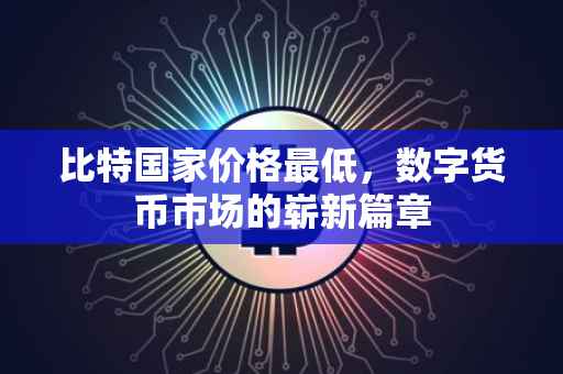 比特国家价格最低，数字货币市场的崭新篇章