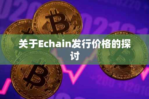 关于Echain发行价格的探讨