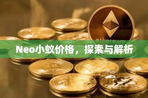 Neo小蚁价格，探索与解析