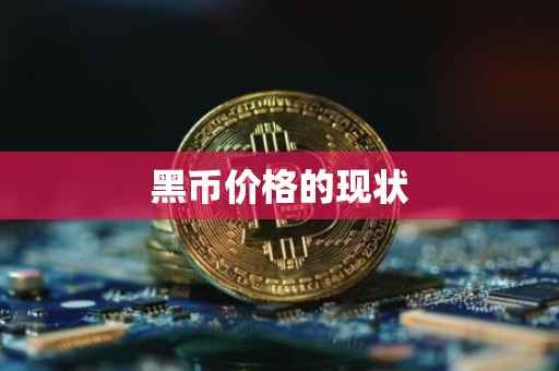 黑币价格的现状