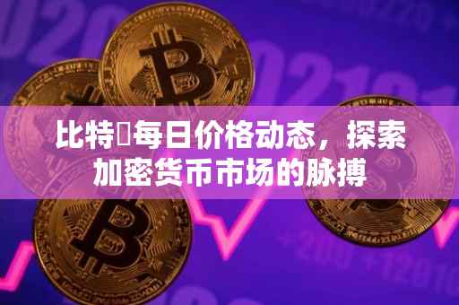 比特帀每日价格动态，探索加密货币市场的脉搏