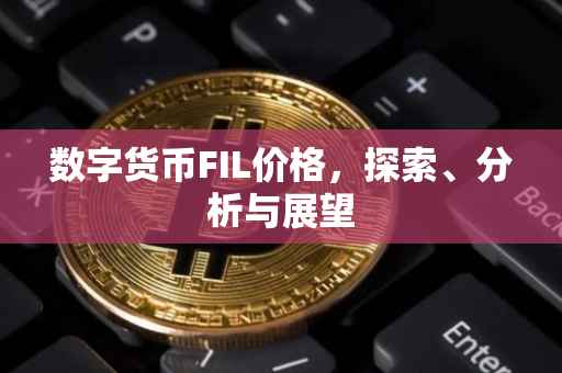 数字货币FIL价格，探索、分析与展望