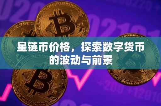 星链币价格，探索数字货币的波动与前景