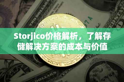 Storjico价格解析，了解存储解决方案的成本与价值