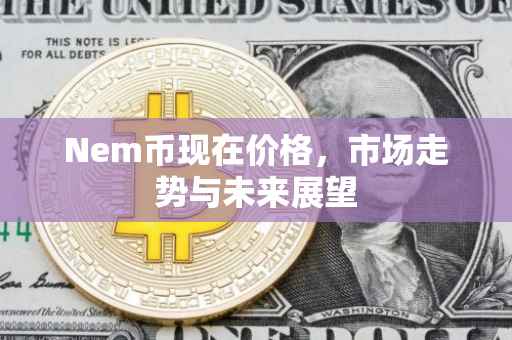 Nem币现在价格，市场走势与未来展望