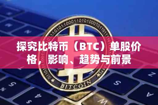 探究比特币（BTC）单股价格，影响、趋势与前景