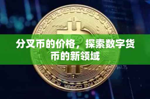 分叉币的价格，探索数字货币的新领域
