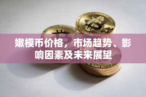 嫩模币价格，市场趋势、影响因素及未来展望