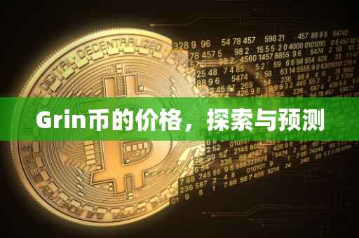 Grin币的价格，探索与预测