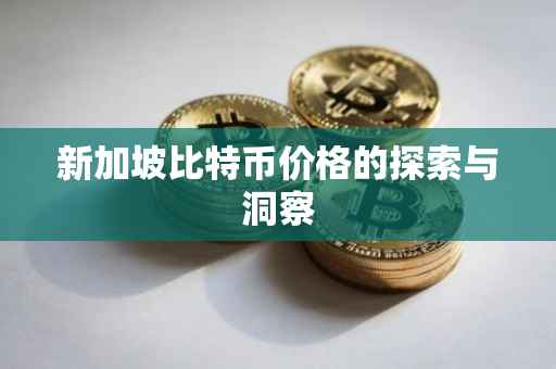 新加坡比特币价格的探索与洞察