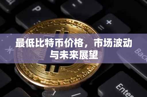 最低比特币价格，市场波动与未来展望