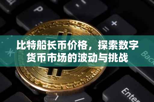 比特船长币价格，探索数字货币市场的波动与挑战