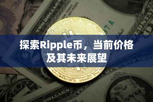 探索Ripple币，当前价格及其未来展望