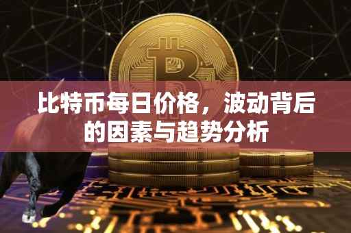 比特币每日价格，波动背后的因素与趋势分析