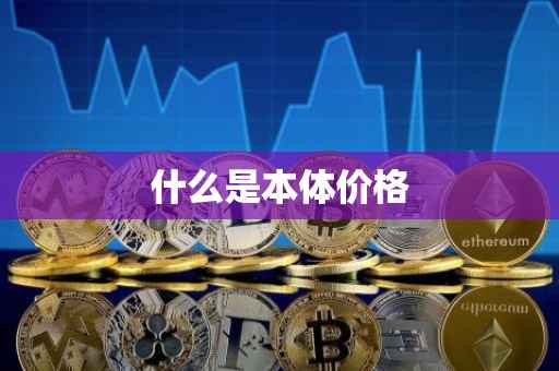 什么是本体价格
