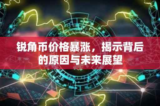 锐角币价格暴涨，揭示背后的原因与未来展望