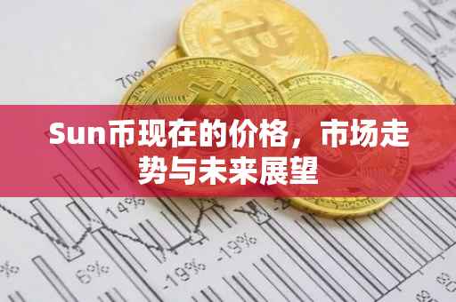 Sun币现在的价格，市场走势与未来展望