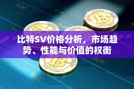 比特SV价格分析，市场趋势、性能与价值的权衡