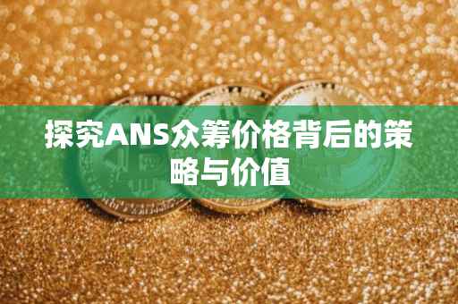 探究ANS众筹价格背后的策略与价值