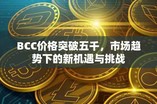 BCC价格突破五千，市场趋势下的新机遇与挑战