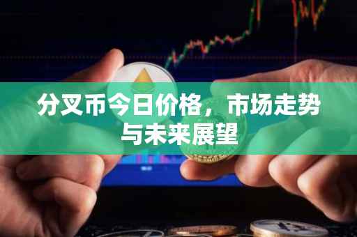 分叉币今日价格，市场走势与未来展望