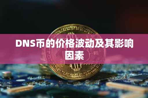 DNS币的价格波动及其影响因素