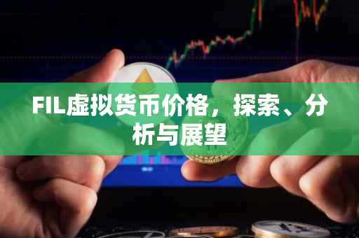 FIL虚拟货币价格，探索、分析与展望