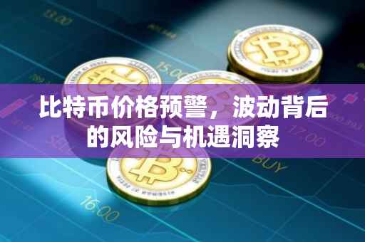 比特币价格预警，波动背后的风险与机遇洞察