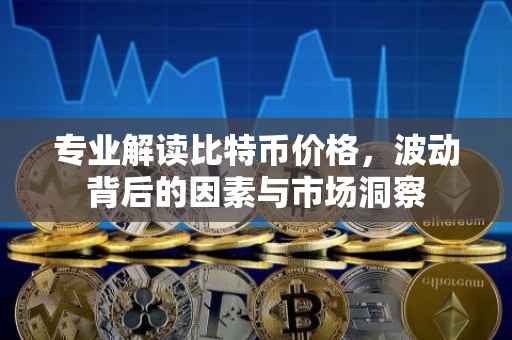 专业解读比特币价格，波动背后的因素与市场洞察