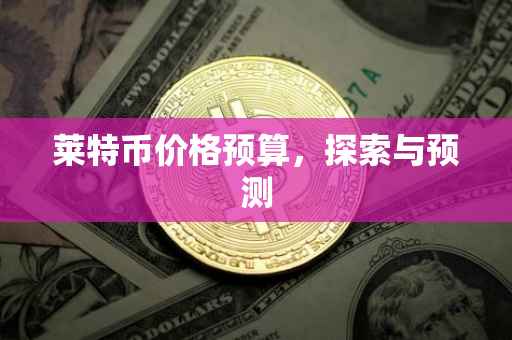 莱特币价格预算，探索与预测