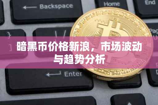 暗黑币价格新浪，市场波动与趋势分析