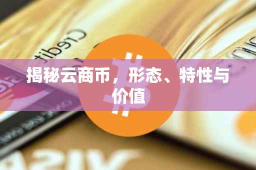 揭秘云商币，形态、特性与价值