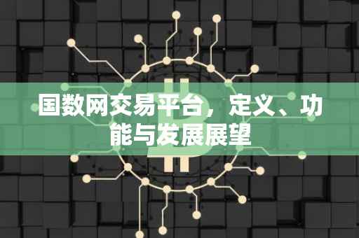 国数网交易平台，定义、功能与发展展望
