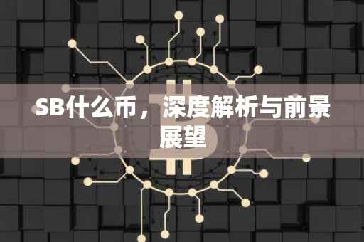 SB什么币，深度解析与前景展望