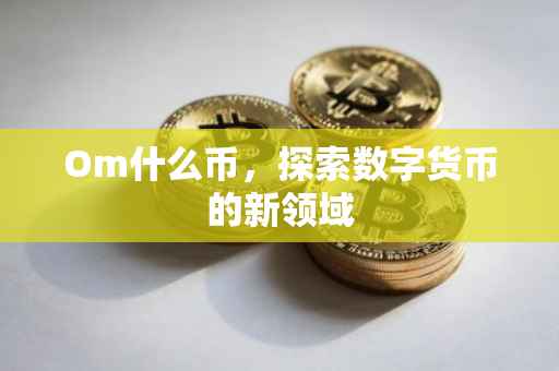 Om什么币，探索数字货币的新领域