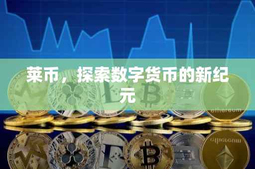 莱币，探索数字货币的新纪元