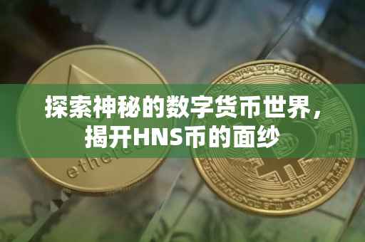 探索神秘的数字货币世界，揭开HNS币的面纱