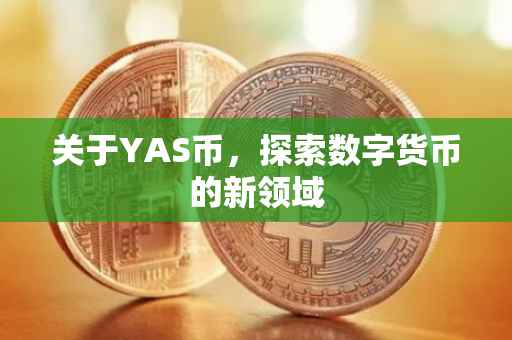 关于YAS币，探索数字货币的新领域