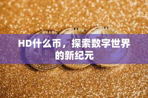 HD什么币，探索数字世界的新纪元