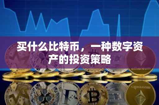 买什么比特币，一种数字资产的投资策略