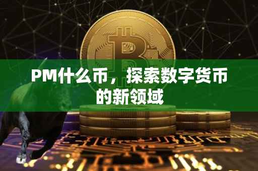 PM什么币，探索数字货币的新领域